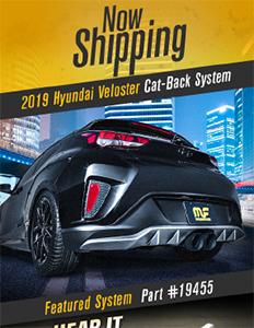 Image of Now Shipping 2019 Hyundai Veloster Cat-Back System PDF for download